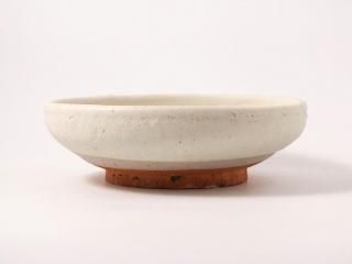 <img class='new_mark_img1' src='https://img.shop-pro.jp/img/new/icons7.gif' style='border:none;display:inline;margin:0px;padding:0px;width:auto;' />WEBŸʴȭ