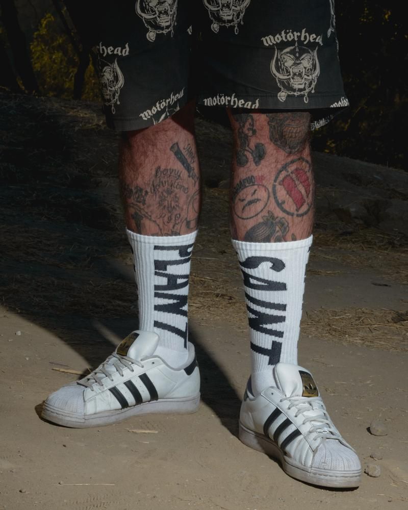 SAINT MXXXXXXX X CACTUS PLANT FLEA MARKET 25