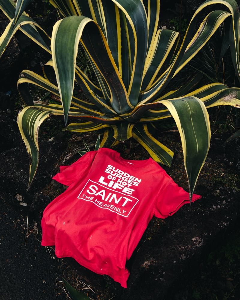 SAINT MXXXXXXX 9TH DELIVERY 16