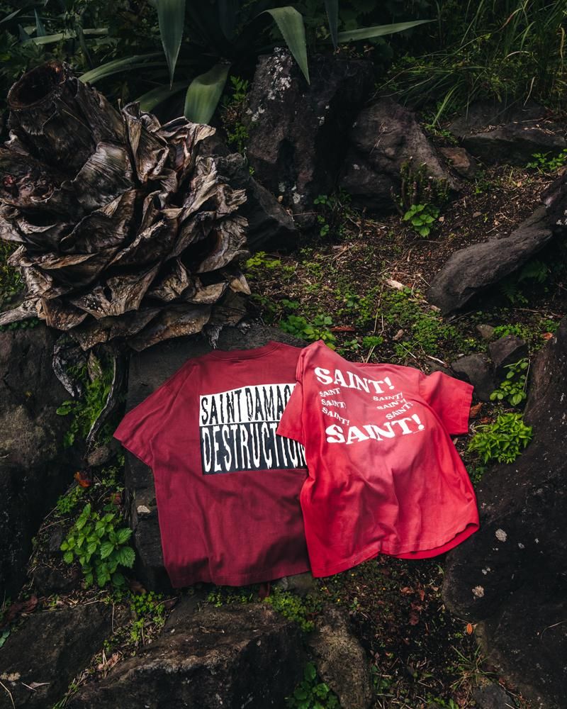 SAINT MXXXXXXX 9TH DELIVERY 20
