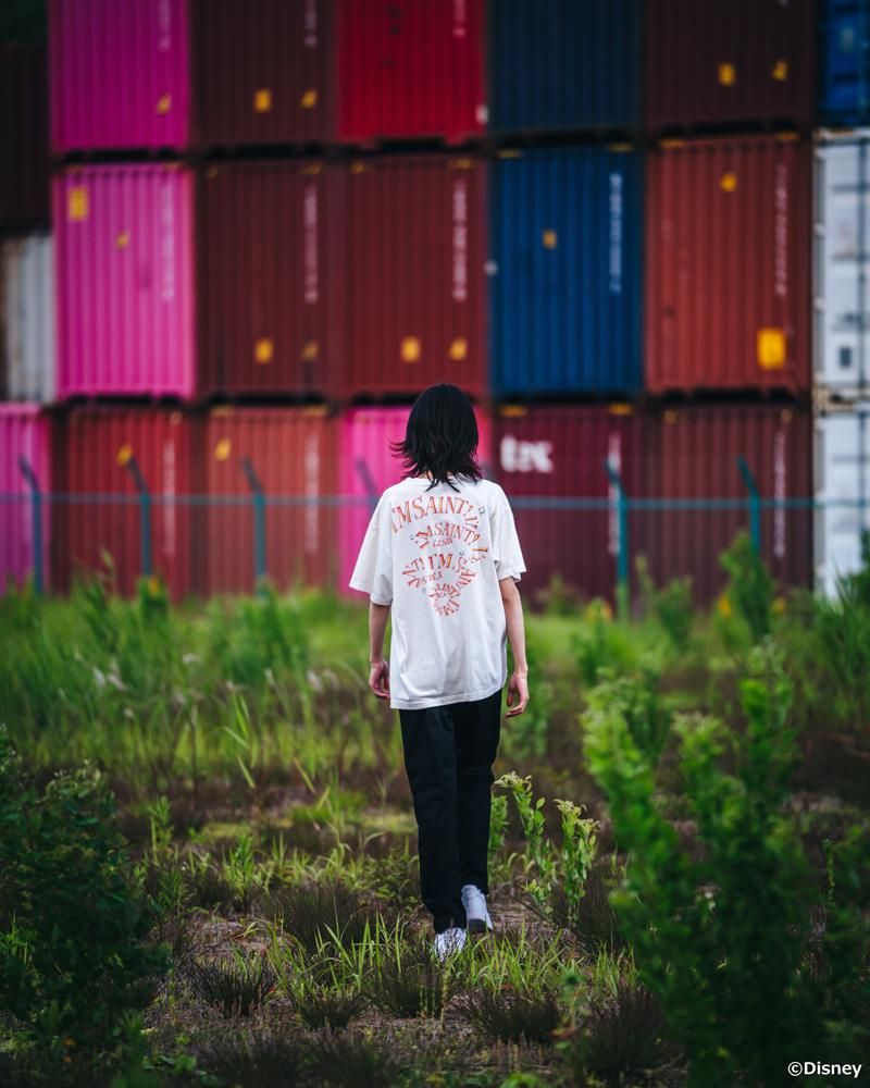 SAINT MXXXXXX DISNEY LOOKBOOK 2