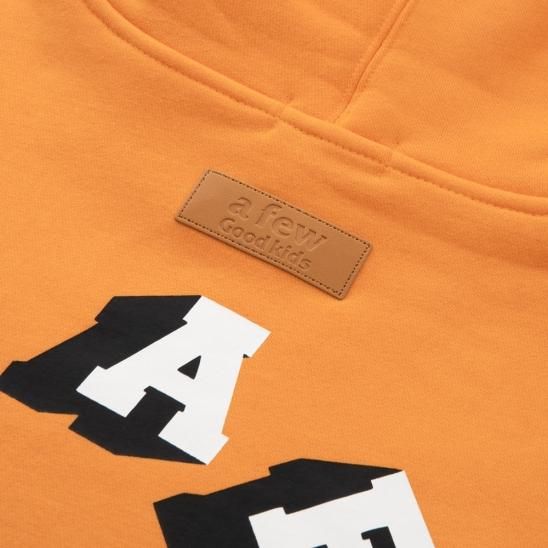 A FEW GOOD KIDS | 3D CIRCLE LOGO HOODIE / ORANGE