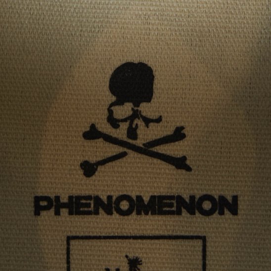 PHENOMENON | MASTERMIND WORLD X MMY PETERSON  / TYPE A