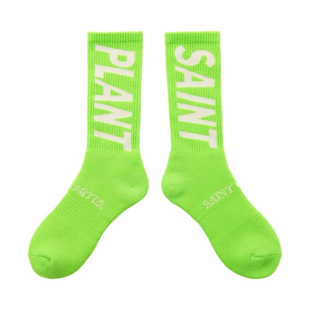 SAINT MXXXXXX | CP_SOCKS SNT PLANT / LIME
