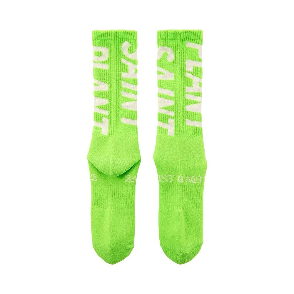 SAINT MXXXXXX | CP_SOCKS SNT PLANT / LIME