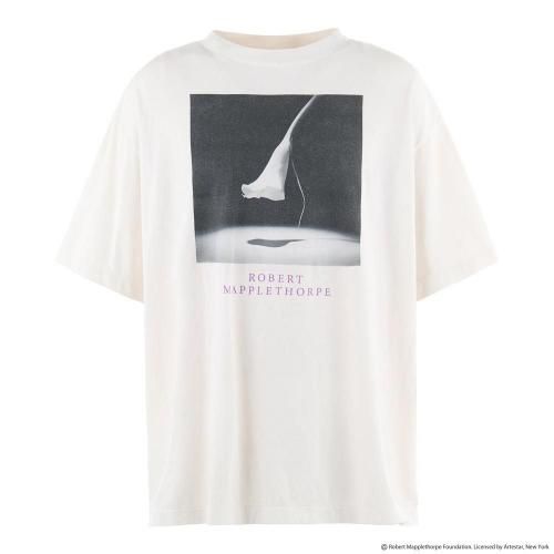 SAINT MXXXXXX | MT_SS TEE CALLA LILY / WHITE