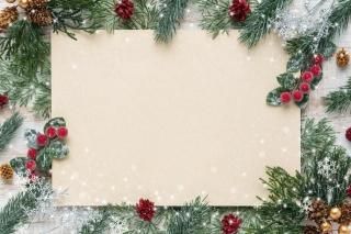 <img class='new_mark_img1' src='https://img.shop-pro.jp/img/new/icons5.gif' style='border:none;display:inline;margin:0px;padding:0px;width:auto;' />ONE COLORľɮ(ꥹޥ)