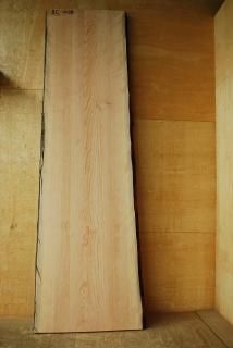 タブノキ【椨】 - 材木店ならでは品質と安さ!天然木無垢一枚板 タブノキ【椨】 - 材木店ならでは品質と安さ!天然木無垢一枚板