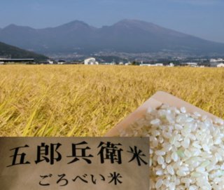 【玄米】令和3年産　五郎兵衛米 単一区画、単一優良生産者3ｋごろべい米【 玄米】
