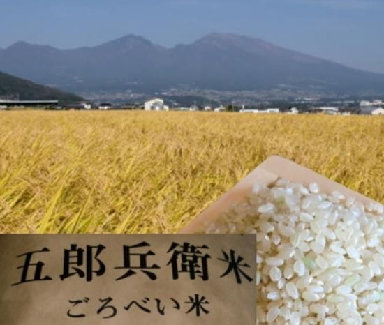 恐れ入ります、暫くの間1家族様2袋まででお願いします、申し訳 恐れ入ります、暫くの間1家族様2袋まででお願いします、申し訳