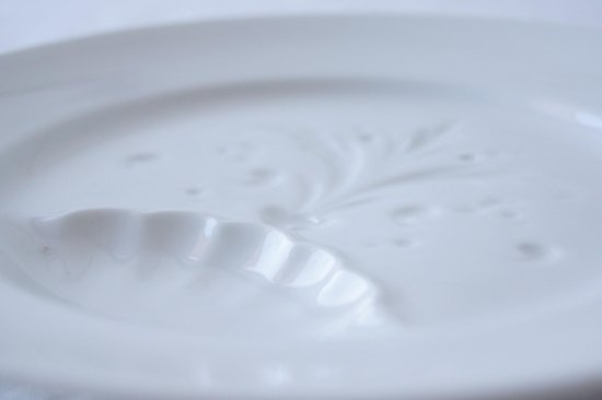 アスパラ用白皿C
