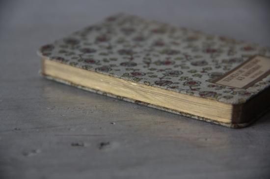 フランス　絵本　豆本　アンティーク フランス 絵本 豆本 アンティーク