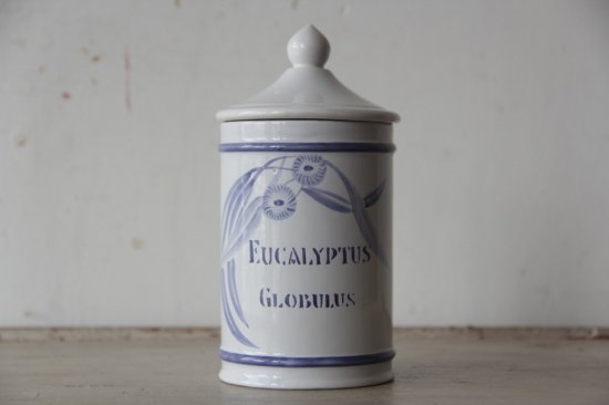 LONGCHAMP Υ˥A EUCALYPTUS GLOBULUS