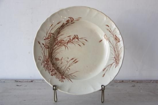 SAMARITAINE COLIBRI 绮饦ɥץ졼