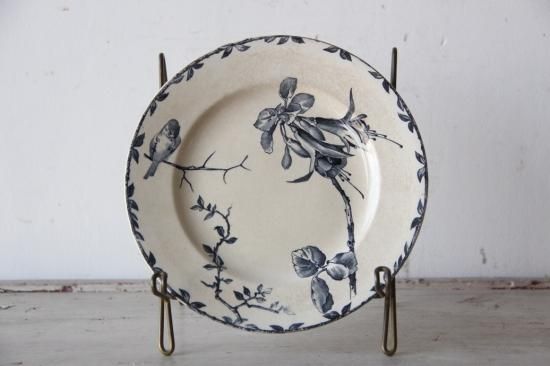 HB&COXFORDץ졼F / ǥȻ