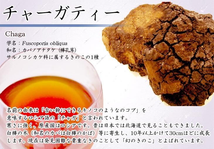 チャーガティー(カバノアナタケ茶) 【1g×30包】 - 健康茶 専門店 チャーガティー(カバノアナタケ茶) 【1g×30包】 - 健康茶 専門店