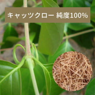 キャッツクロー茶　【3g×30包】　DM便 送料無料