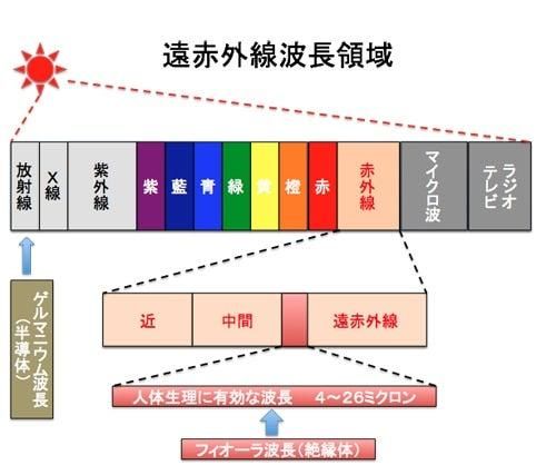 FTWフィオーラセット(美顔ローラー)ジェルミニ+クレンジング FTWフィオーラセット(美顔ローラー)ジェルミニ+クレンジング