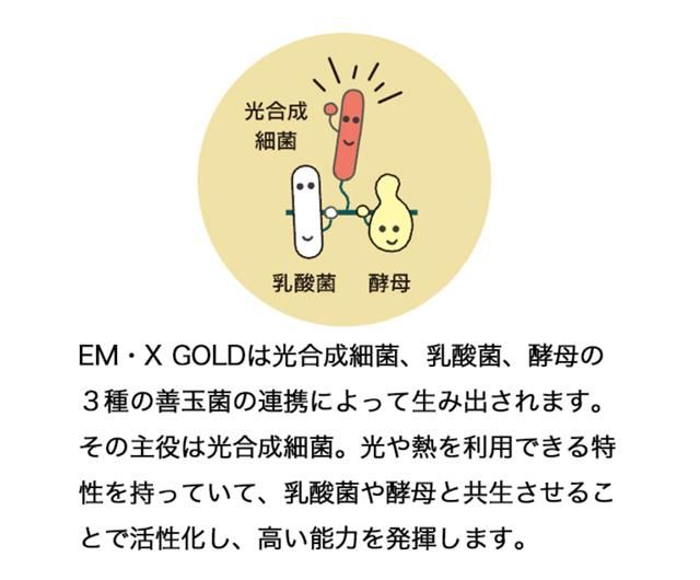 イーエムエックスゴールド - FROM JAPANさま専用！ EMX GOLD - EM生活公式オンラインショップ