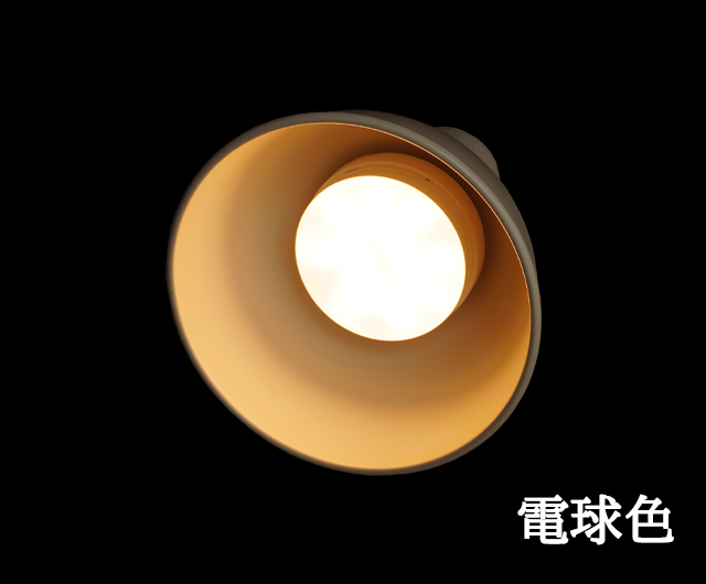  ۸LEDץӥͥåȥסŵ忧