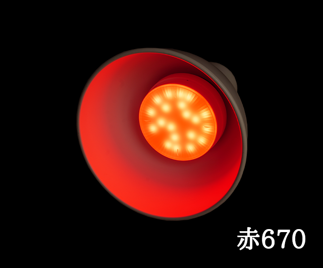  ۸LEDץӥͥåȥס670