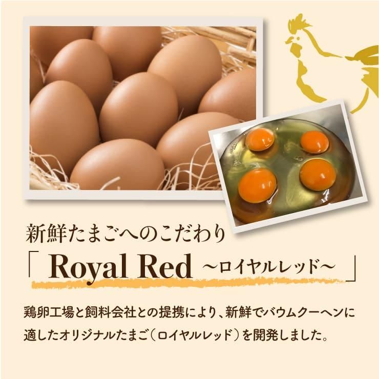 ごえんバウム2個入セット ショコラ 心織 バウムラボ樹楽里オンラインショップ ごえんバウム2個入セット ショコラ 心織 バウムラボ樹楽里オンラインショップ