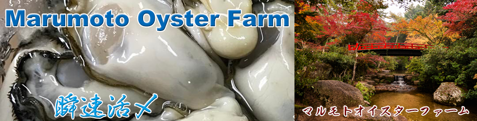 Marumoto Oyster Farm -ޥȥե