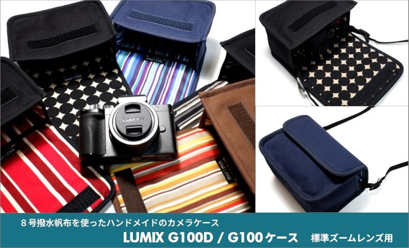 LUMIX G100D 