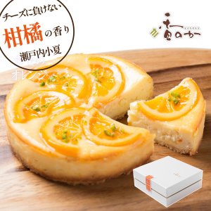 瀬戸内オレンジチーズケーキ(直径15cm)