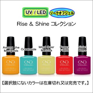 <img class='new_mark_img1' src='https://img.shop-pro.jp/img/new/icons15.gif' style='border:none;display:inline;margin:0px;padding:0px;width:auto;' />CND シェラック Rise & Shine 2022 スプリング<br /><font color=red>20%OFF </font>