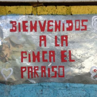 <img class='new_mark_img1' src='https://img.shop-pro.jp/img/new/icons14.gif' style='border:none;display:inline;margin:0px;padding:0px;width:auto;' />ӥEL PARAISO ѥ饤