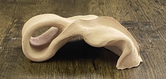 シェルタクラフタ sheltaCrafta 新作 プレコ稚魚用 勾玉(まが シェルタクラフタ sheltaCrafta 新作 プレコ稚魚用 勾玉(まが