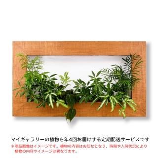 my gallery - PIANTA×STANZA