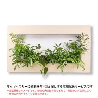 my gallery - PIANTA×STANZA