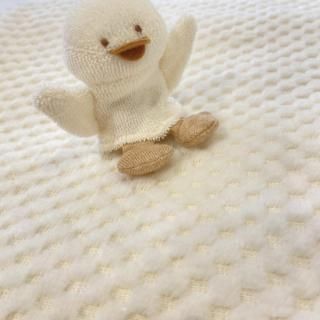 ڽлˤˤۥ֥󥱥åȡؿͷå/˥ååȥ/˽鷺