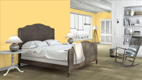 新品インテリアペイントBenjamin Moore Aura(オーラ)ベージュ ベンジャミンムーア AURA（オーラ）艶消し インテリアペイント