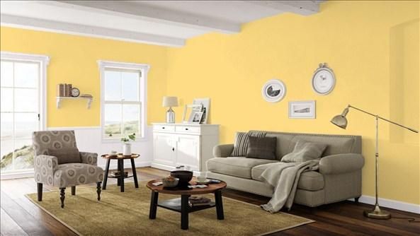新品インテリアペイントBenjamin Moore Aura(オーラ)ベージュ ベンジャミンムーア AURA（オーラ）艶消し インテリアペイント