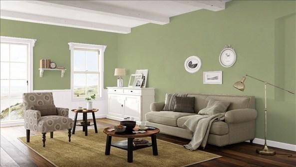 Benjamin Moore Aura Interior Satin Paint
