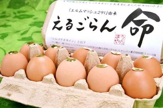 世界初のたまご えるごらん 信州佐久より産地直送