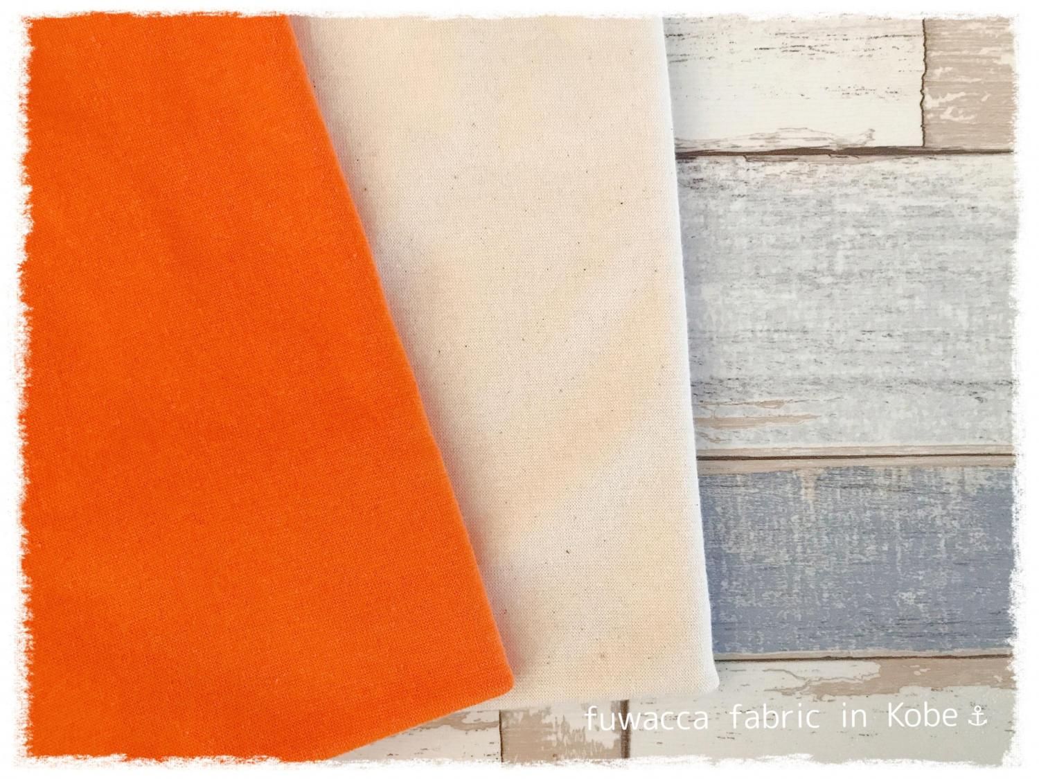 <img class='new_mark_img1' src='https://img.shop-pro.jp/img/new/icons1.gif' style='border:none;display:inline;margin:0px;padding:0px;width:auto;' />40ѥե饤