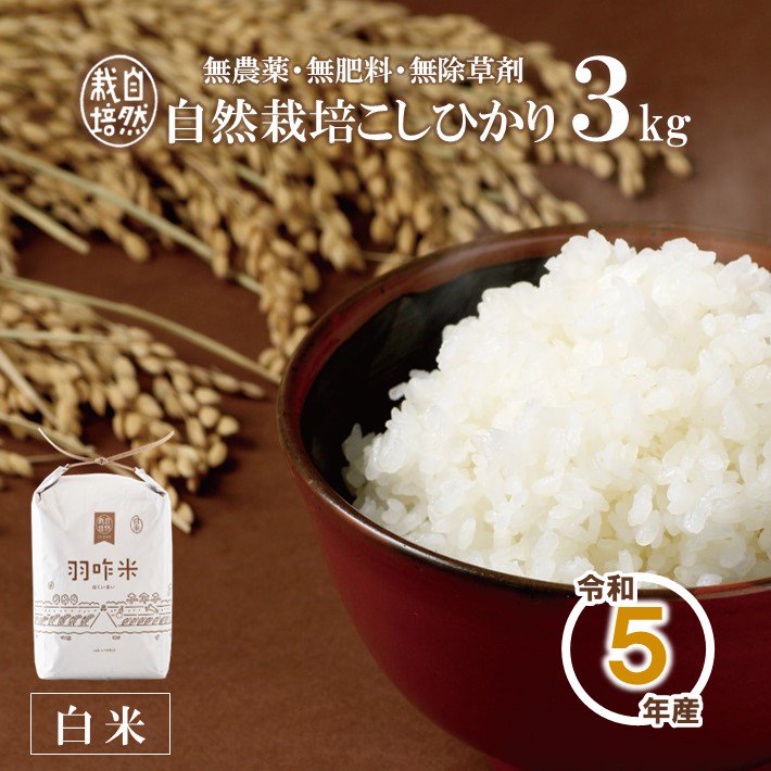 人気商品は　玄米10キロ　令和5年新米コシヒカリ　農薬不使用