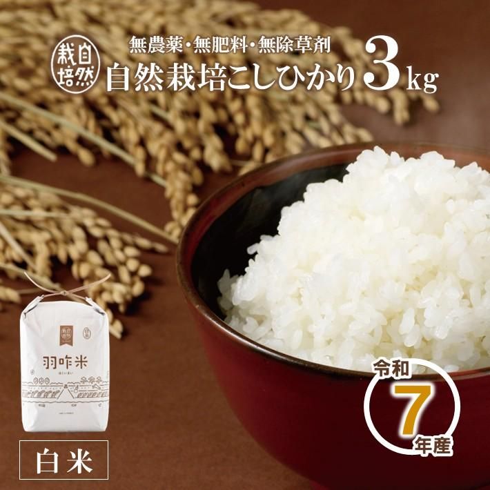 11ȯ£ǯ A001 ̵ǽФΤ꼫ݤҤرơơˡ kg