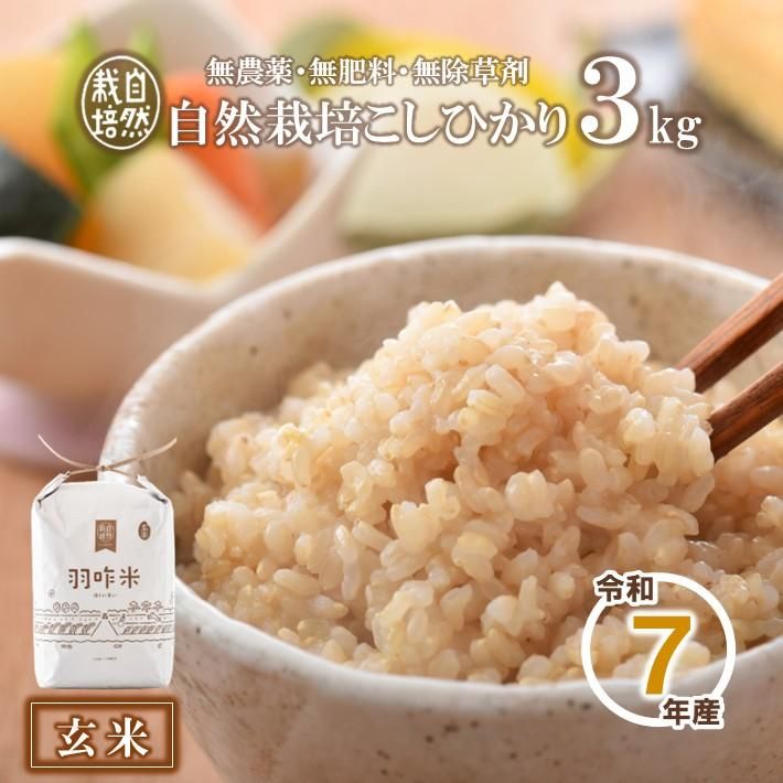 のと千里浜限定品】黒蜜きな粉おだまき（10個セット）