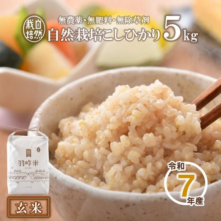 【無農薬】【玄米】能登のこだわり自然栽培こしひかり『羽咋米』 ５kg