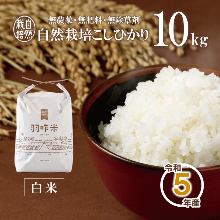 新米【無農薬】【白米】能登のこだわり自然栽培こしひかり『羽咋米』　１０kg