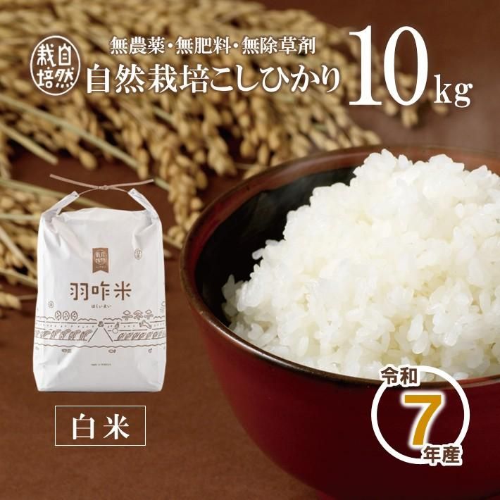 11ȯ£ǯ A005 ̵ǽФΤ꼫ݤҤرơơˡ kg