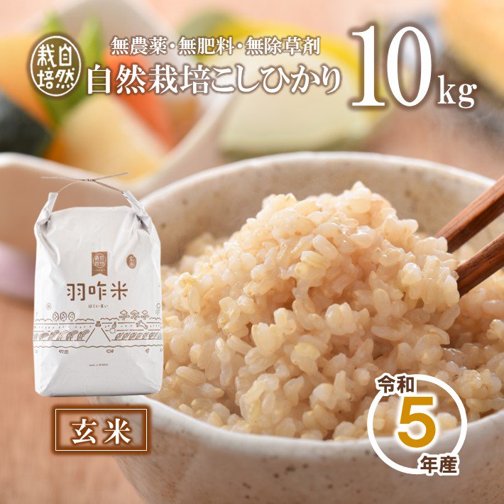 無農薬】【玄米】能登のこだわり自然栽培こしひかり『羽咋米』 １０kg