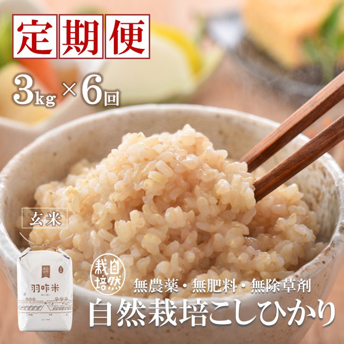 18kg　玄米　自然栽培　コシヒカリ