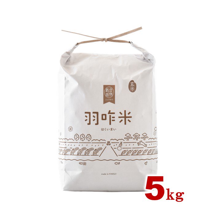 定期便【無農薬】自然栽培こしひかり『羽咋米』　玄米15kg（5kg×3回）