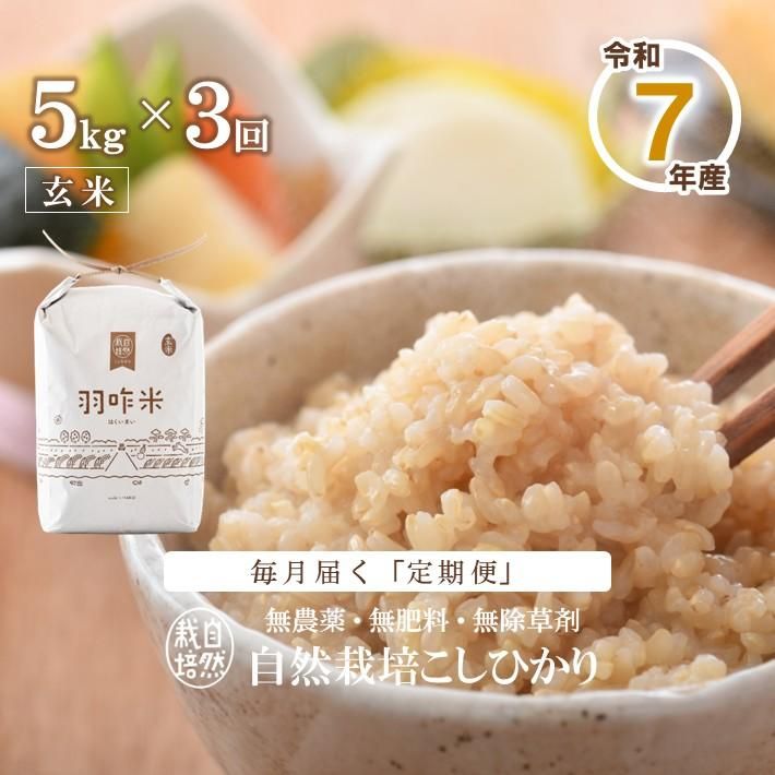 12ȯϡۡء T010 ̵ǽФΤ꼫ݤҤرơʸơˡ 5kg3󥳡